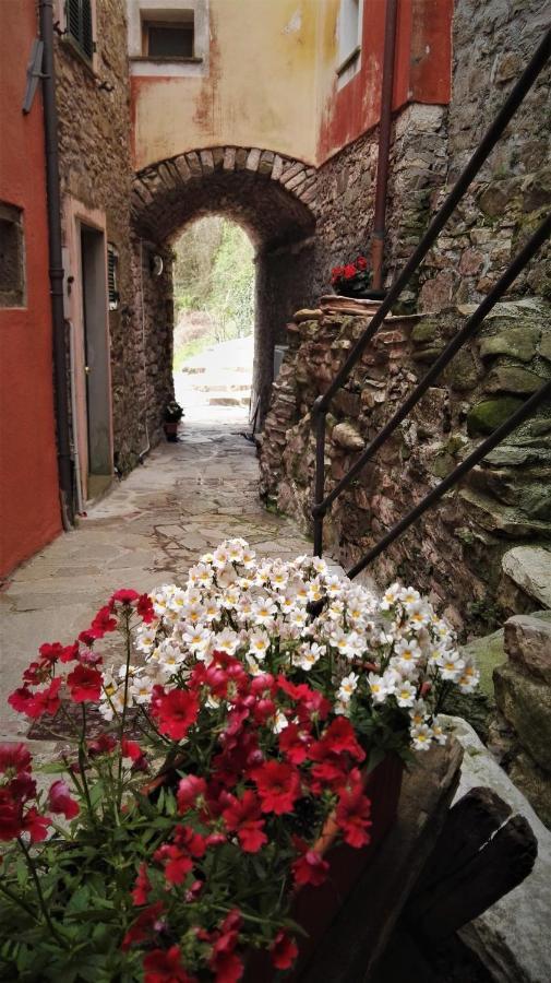 Borgo Di Codeglia - Country Rooms Рикко-дель-Гольфо-ди-Специя Экстерьер фото